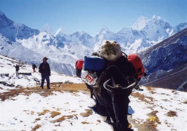 Top 10 Things to know before trekking to Everest Base Camp