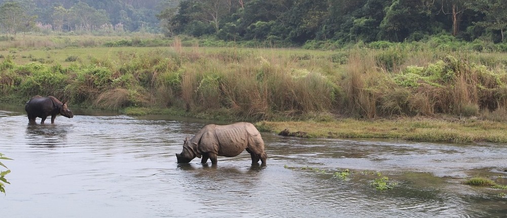 Chitwan National Park