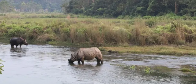 Chitwan National Park