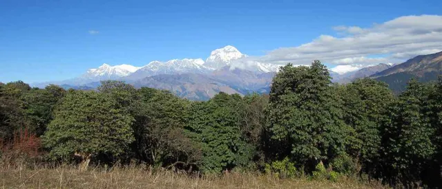 Student Trek to Ghorepani Poon Hill in Nepal