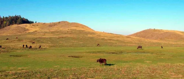 Khaptad Trek in Nepal