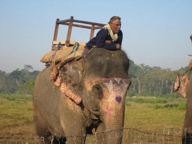 8th Chitwan Elephant Festival (Elephant Race)